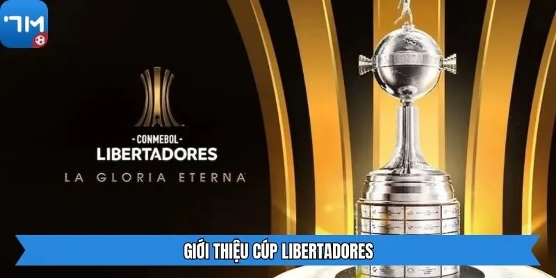 Giới thiệu Cúp Libertadores