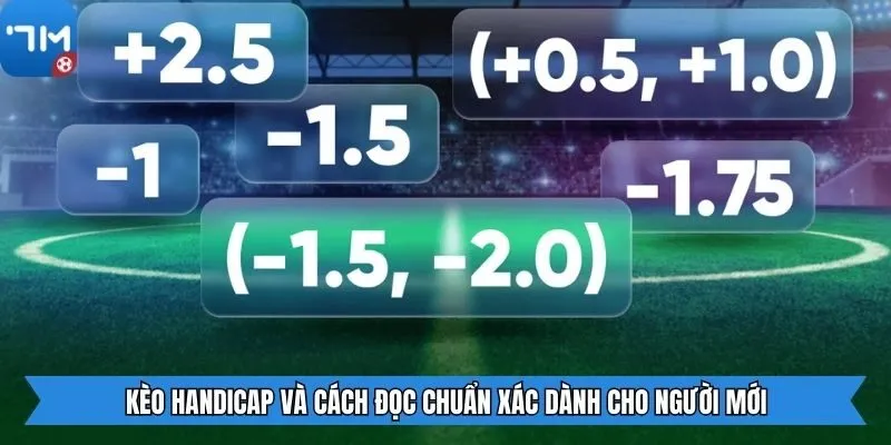 Kèo Handicap và cách đọc chuẩn xác dành cho người mới